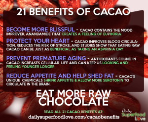 benefits_of_cacao_infographic_daily_superfood_love-300x247